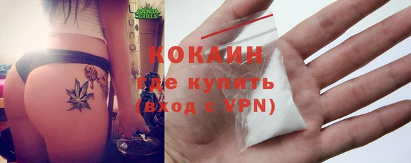 индика Лагань