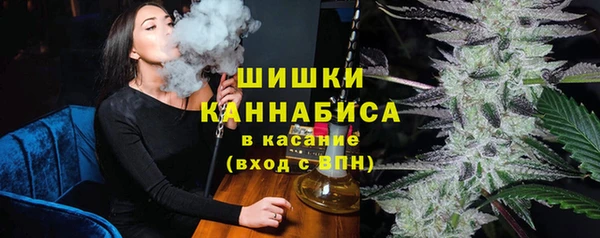 ГАЛЛЮЦИНОГЕННЫЕ ГРИБЫ Кукмор